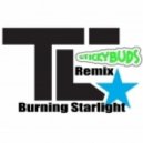 TC feat. Dread MC - Burning Starlight (Stickybuds Remix)