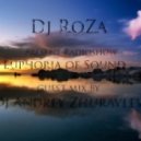 Dj RoZa pres. Radioshow Euphoria of Sound 46 Guests DJ Andrey Zhuravlev - Euphoria of Sound 46 ()