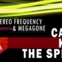 Stereo Frequency & Megagone feat Sarah Mireya - C'ant Kill The Spirit