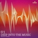 Spinafly - Deep Into The Music 01 ()