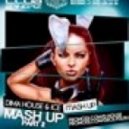 DJ Smash vs. DJ Ane Housekat feat. Rameez - Rendez Vous My Party (ICE & DIMA HOUSE Mash Up)