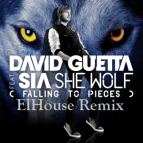 David Guetta feat. Sia - She Wolf