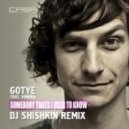 Gotye feat. Kimbra - Somebody That I Used To Know