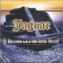 Sebastian Leger - Jaguar (Fran Guzman Bootleg\'12)