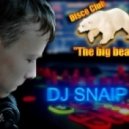 Global DJ\'s & Sarvi & Chuckie & Duck Sauce - Big Bad Amore (DJ SNAIP MashUp)
