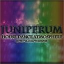 Juniperum - House Dance Atmosphere #4