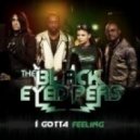 Black Eyed Peace vs Dani L Mebius - Rock Ur Feeling (Andrey Gorkin Mash Up)