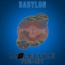 Congorock - Babylon (Molecule Remix)