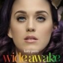 Katy Perry - Wide Awake (P.A.F.F. Remix)