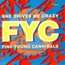 Fine Young Cannibals - She Drives Me Crazy