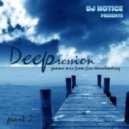 DJ Notice - Deepression. part 2.