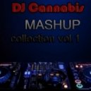 Jennifer Lopez ft. Flo Rida vs.Topmodelz & Dave Ramone - Goin In (DJ Cannabis Mashup)
