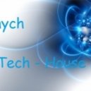 Rinych - Tech-House Mix ()