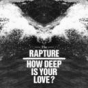 The Rapture - How Deep Is Your Love (Cassian Remix)