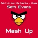 Saint Liz feat. Mia Martina - Utopia (Seth Evans Mash Up)