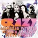 Lumidee feat. Pitbull Nicola Fasano & Steve Forest - Crazy