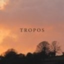 Tropos - Uncertainty
