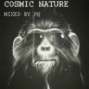 PQ - Cosmic Nature