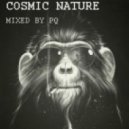 PQ - Cosmic Nature ()