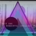	Pete Oak - Wonderfull (Original Mix)