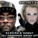 Will.I.Am & Britney Spears Feat. DJ Viduta & Dimixer - Scream & Shout (Dj Пadonok Mash Up 2012)