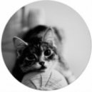 Aerobatics - Cats (Nicolas Kotowicz Remix)