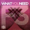 F3 - What You Need