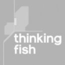 Thinking Fish Feat. Bijou. - Done All I Can Do