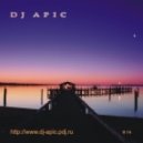 Dj Apic - December Mix # 14