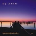 Dj Apic - December Mix # 14 ()