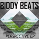 Biddy Beats - Perspective