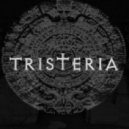 Tristeria - I Love You (Tonus Play87 Remix)