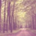 DJ Sveta Romanova - Dee Forest ID-2