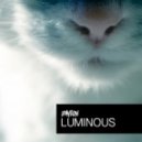 Dayton - Luminous