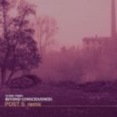 Flying Point - Beyond Consciousness