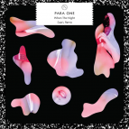 Para One - When The Night (Dub\'L Nu Disco Remix)
