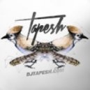 Amine Edge & Dance - Going The Heaven Goodie (Tapesh & DayneS Remix)