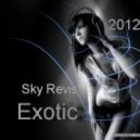 Sky Revis - Happy New 2013