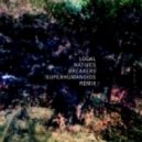 Local Natives - Breakers