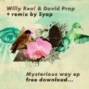 Willy Real & David Prap - Mysterious Way