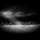 Review Lines - Om
