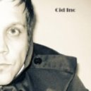 Cid Inc - Past Years