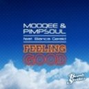 Mooqee & Pimpsoul Ft. Bianca Gerald Vs. Tantrum Desire Vs. Loadstar - Good Feeling Passenger (Axenon Mash-Up)