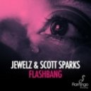 Jewelz & Scott Sparks vs Tiko\'s Groove - Flashbang Amiga! (Dj Vlad Mashup)