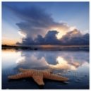 Unexplored World a.k.a. M.ETIS - Cosmic Infinity vol.3