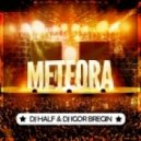 DJ Igor Bregin ft. DJ HaLF - Meteora (Original Mix)