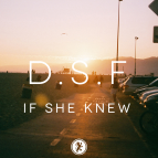 D.S.F - If She Knew