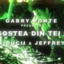 Gabry Ponte feat. Haiducii & Jeffrey Jey - Dragostea Din Tei 2013 (Extended Mix)