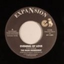 Main Ingredient - Evening Of Love