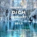 DJ.Dich - Sound of Dich January 2013
